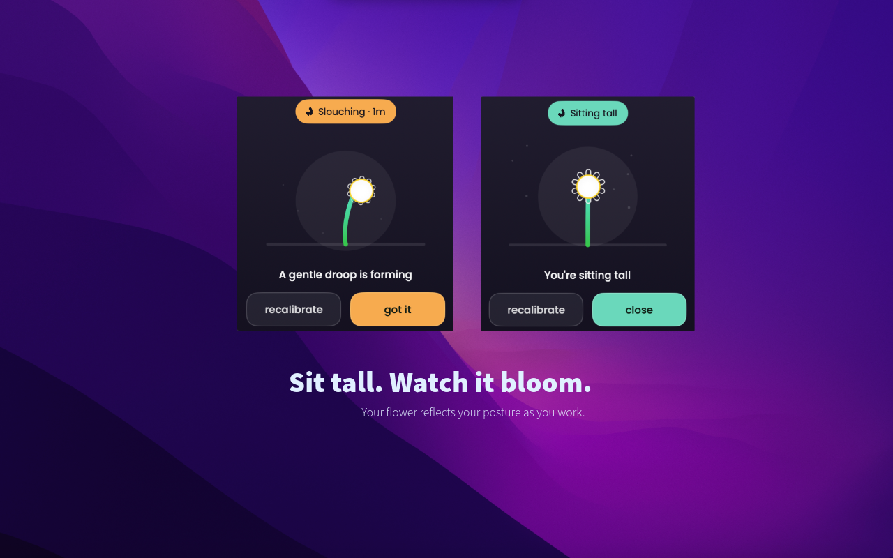 Droop for Mac popover showing a slouching flower and a sitting tall flower